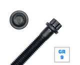 3/8"-16 x 1" Grade 9 Alloy Flange 12-Point Bolt