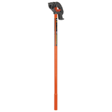 primary_image