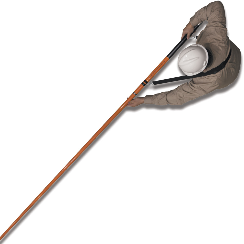 alternate_image