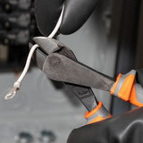 alternate_image