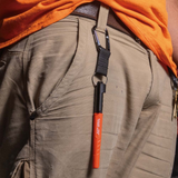 alternate_image