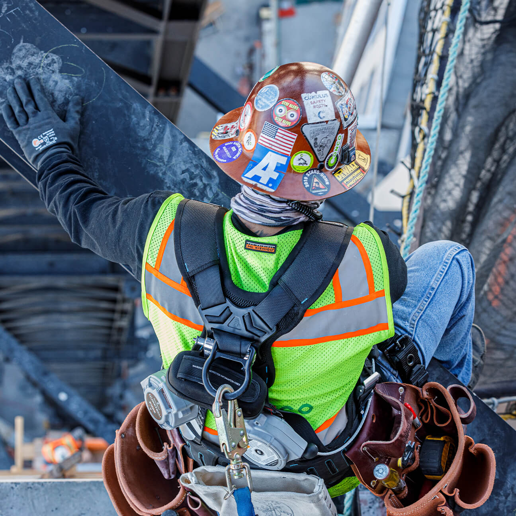 alternate_image