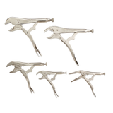 alternate_image