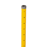 alternate_image